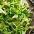Australijanac našao živu žabu u zatvorenoj kesi zelene salate iz samousluge