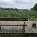 Šta sve otkrivaju gradske klupe? Male pozornice na kojima se odvija život Kragujevca
