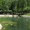 Rgoška banjica, termalni izvor koji leči reumatizam i išijas: Blagodeti njene vode bile poznate i starim Rimljanima