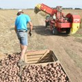 Krompir se skuvao u zemlji! Nezapamćene vrućine uništile useve