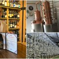 Rakija iz srca ravnice, od najboljeg voća: Danijela Zlokolica iz Žablja krenula od voćnjaka pa stigla do uspešne destilerije…
