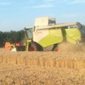 Savović: Izvoz viška pšenice, kukuruza i suncokreta otežavaju problemi sa logistikom