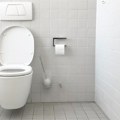 Društvene mreže je preplavila super fora za čišćenje WC šolje: Ovaj neprijatan posao postaće duplo lakši
