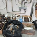 Nesvakidašnji pokušaj šverca na Kelebiji: Carinici otkrili 200 kilograma suvog mesa u kombiju