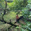 "Nevreme je kidalo i nosilo sve pred sobom": Dramatične slike iz Čačka, voćarima pričinjena ogromna šteta (foto)