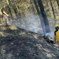 Požar na deponiji kod Kragujevca zahvatio šumu, pretilo širenje na kuće: Vatrogasci ga gasili više od 6 sati