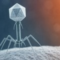 Nauka balansira između inovacije i biološke bezbednosti