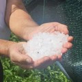 Jako nevreme i grad opustošili sela: Vanredna situacija proglašena u delu opštine Nova Varoš, ogromne štete na usevima i…