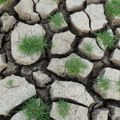 Klimatske promene: šta čeka svet koji se zagreva