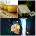 Opa! Veštačka inteligencija “zamesila” bolje ocenjen sir od tradicionalne verzije! Degustiralo se “na slepo”, mlekari…
