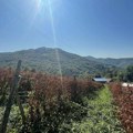 Danas sunčano i veoma toplo, temperatura do 40 stepeni