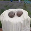 Lavanda i kamen, jedinstvena postavka u Tamnjanici