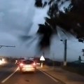 Drvo pada na automobil u vožnji, čuje se vrištanje i lomljava stakla: Dramatičan snimak kod Beograda (video)