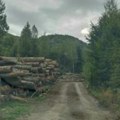 Šumska mafija hara crnom gorom: Ovako na štetu građana zloupotrebljavaju uredbu Uprave za šume