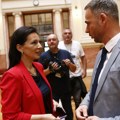 SAZNAJEMO Tepić i Aleksić nosioci liste opozicije na izborima u decembru