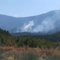 Bukti požar na Suvoj planini: Plamen guta više desetina hektara šume i niskog rastinja FOTO