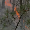 Vatrogasci se bore s vatrom na Tari: Uspostavili su kontrolu nad stihijom