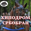 Novi izazovi u Srbobranu