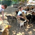 Ovo je prvi grad za životinje u Srbiji - očekuju se i izbori za gradonačelnika! Nikola stvorio nestvarno: Svaka ulica nosi…