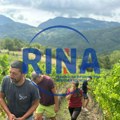 Ne rađaju na svakom brdu u Čačku šljive, već i grožđe: Tomići sa Kablara imaju vinograd za ponos i brižljivo neguju trdiciju…