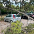 Nevreme napravilo haos u Podgorici: Grad tukao kao lud, ulice pod vodom, vetar čupao drveće