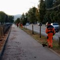 Uređuju Niš na više lokacija: Ekipe „Mediane“ danas u parkovima, ulicama i naseljima