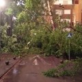 Nevreme u Novom Sadu, ruši drveće i ograde, u pojedinim delovima grada nema struje i vode