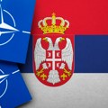 Milić: Svi mrze NATO i vole Rusiju, ali bi da žive u NATO državama, ne u Rusiji