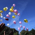 Trešnja i baloni na Tašmajdanu – za Emu i sve drugare