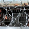 „Biće izložen mučenju u zatvoru“: NUNS zahteva od Srbije da ne izručuje Gnjota Belorusiji