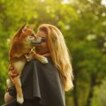 Koja rasa psa odgovara vašem horoskopskom znaku? Nikada vam neće pasti na pamet ko ide uz Škorpiju