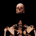 DNK test ostataka kostiju baca novo svetlo na istoriju drevnog Egipta