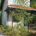 Požar u ataru Petrovc blizu vikend -naselja