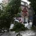 Više intervencija zbog nevremena u Zagrebu, jedna osoba lakše povređena prilikom pada grane