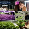 30 metara ispod Istanbula zelena oaza: Poljoprivreda kojoj ne treba ni sunce ni kiša! Duboko ispod asfalta klija budućnost i…