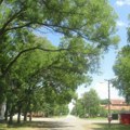 Za ovo seoce u Banatu ne znaju ni svi Vojvođani! Zbog izuzetne lepote, porede ga s Toskanom. Pravi je skriveni dragulj…