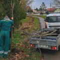Mesna zajednica „Centar“ uz podršku JKP „Čistoća i zelenilo“ posadila stabla kod Karađorđevog parka Zrenjanin -…