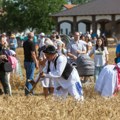 Najbolji risari pokazali umeće: Sačuvali jednu od najlepših tradicija subotičkog kraja