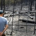 Požari u Srbiji i lažne vesti: Šta je potvrđeno, a šta se nagađa?