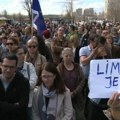 Protest u Novom Sadu zbog izgradnje objekata na zelenoj površini kraj Štranda