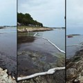 "Ovo je ekološka katastrofa": Pojavila se naftna mrlja u Jadranskom moru (foto, video)