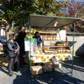 Izložba meda i pčelinjih proizvoda u Ćićevcu održana druga po redu pčelarska manifestacija (foto)