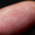Kako su nastali otisci prstiju i zašto ih imamo? Nije zbog onog što mislite