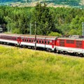 Voz pregazio 89 ovaca, pastirima stiže račun od 25.000 evra