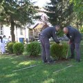 Akcijom pošumljavanja obeležena godišnjica osnivanja „Srbijašuma“ (VIDEO)