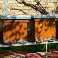 Pčelari tokom aprila obavezni da prijave broj košnica veterinarskoj stanici