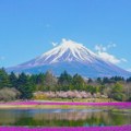 У Јапану нова правила за пењање на планину Фуџи због прекомерног туризма и загађења