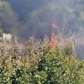 FOTO Požar kod Gradskog groblja: Gorelo nisko rastinje, vatrogasci obuzdali plamen