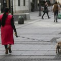 10: razloga zašto su kućni ljubimci dobri za vaše zdravlje