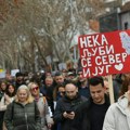 „Neka ljubi se sever i jug“: Ovo su najbolji transparenti koji su obeležili jučerašnji protest u Nišu